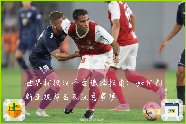 世界杯投注平台选择指南：如何判断正规与否及注意事项