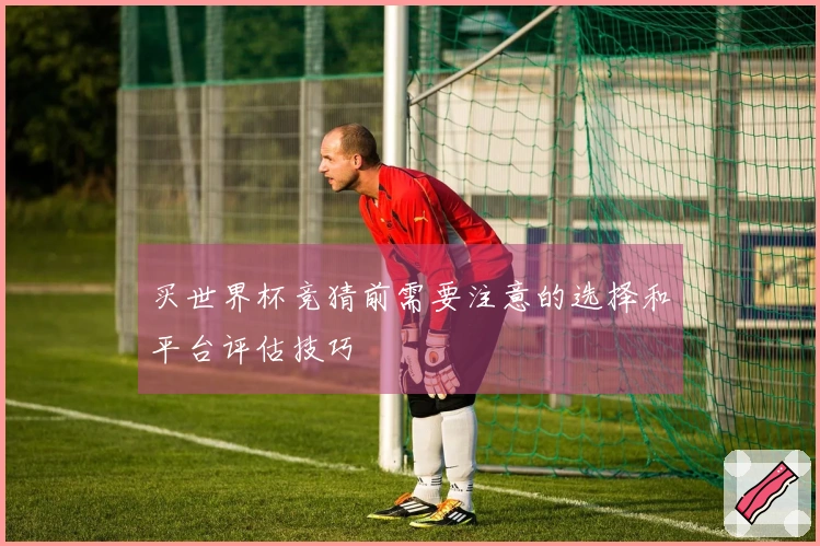 买世界杯竞猜前需要注意的选择和平台评估技巧