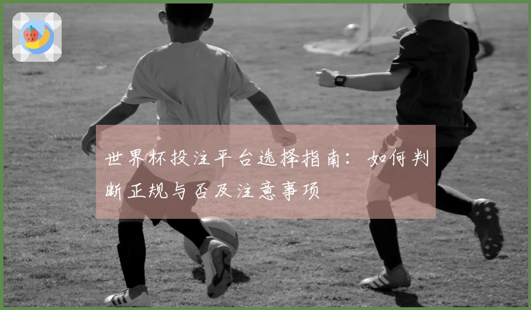 世界杯投注平台选择指南：如何判断正规与否及注意事项