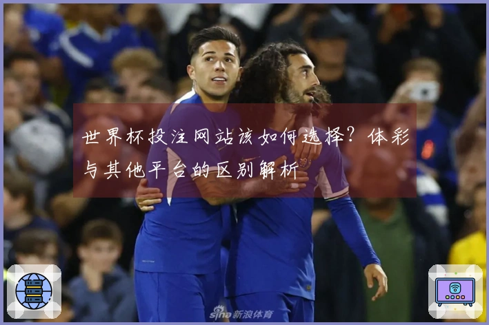 世界杯投注网站该如何选择？体彩与其他平台的区别解析