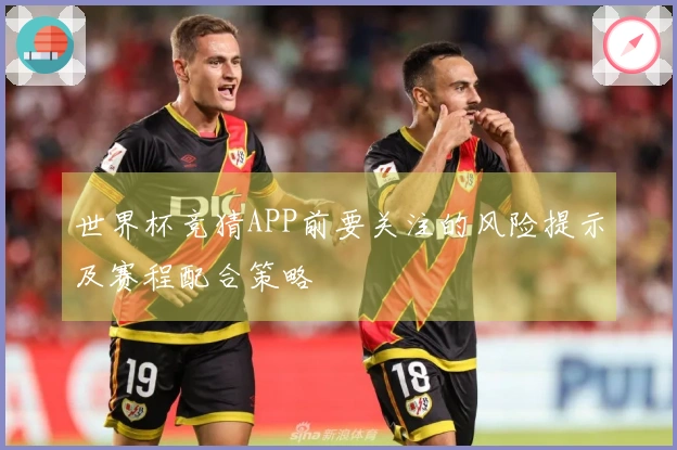 世界杯竞猜APP前要关注的风险提示及赛程配合策略
