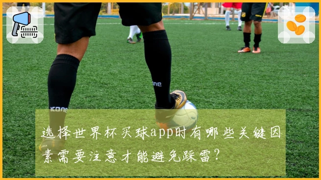 选择世界杯买球app时有哪些关键因素需要注意才能避免踩雷？