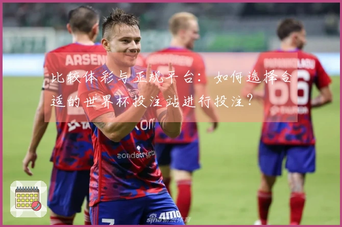 比较体彩与正规平台：如何选择合适的世界杯投注站进行投注？