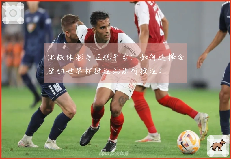 比较体彩与正规平台：如何选择合适的世界杯投注站进行投注？