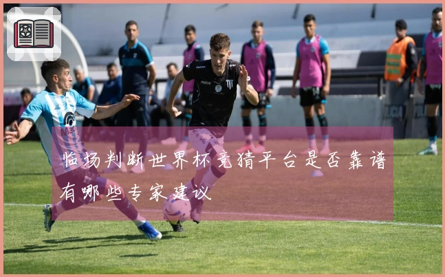 临场判断世界杯竞猜平台是否靠谱有哪些专家建议