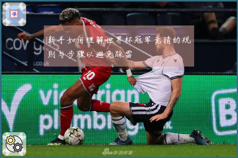 新手如何理解世界杯冠军竞猜的规则与步骤以避免踩雷