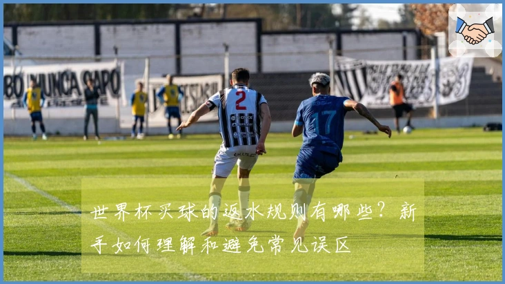 世界杯买球的返水规则有哪些？新手如何理解和避免常见误区