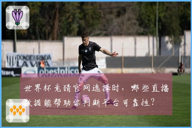 世界杯竞猜官网选择时，哪些直播数据能帮助你判断平台可靠性？