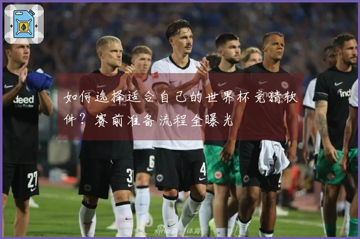 如何选择适合自己的世界杯竞猜软件？赛前准备流程全曝光