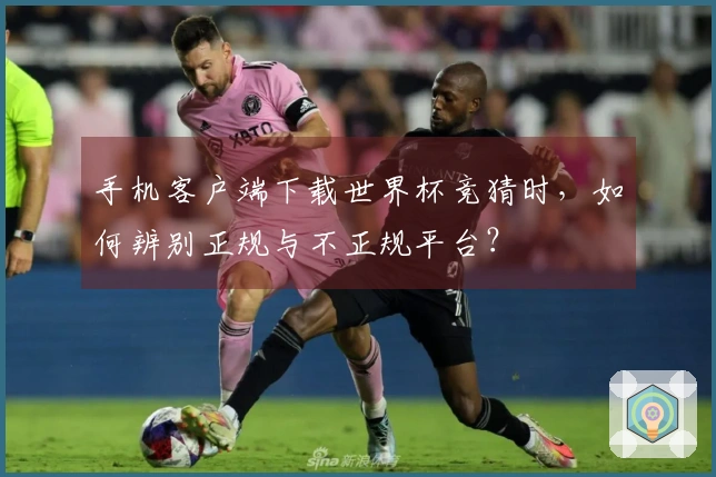 手机客户端下载世界杯竞猜时,如何辨别正规与不正规平台?