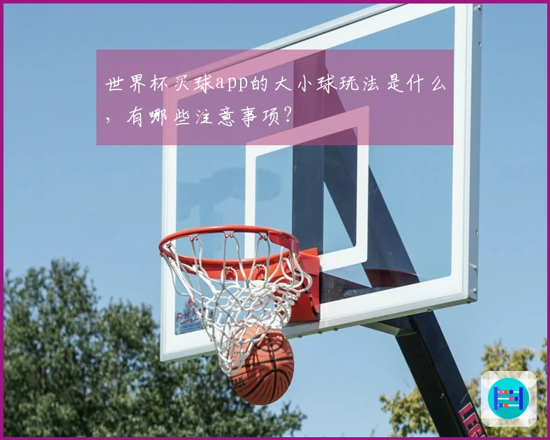 世界杯买球app的大小球玩法是什么，有哪些注意事项？