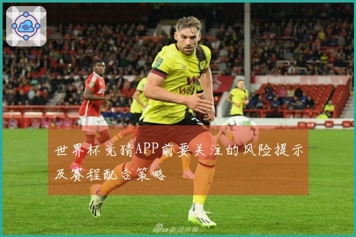 世界杯竞猜APP前要关注的风险提示及赛程配合策略