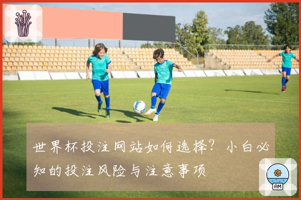 世界杯投注网站如何选择？小白必知的投注风险与注意事项