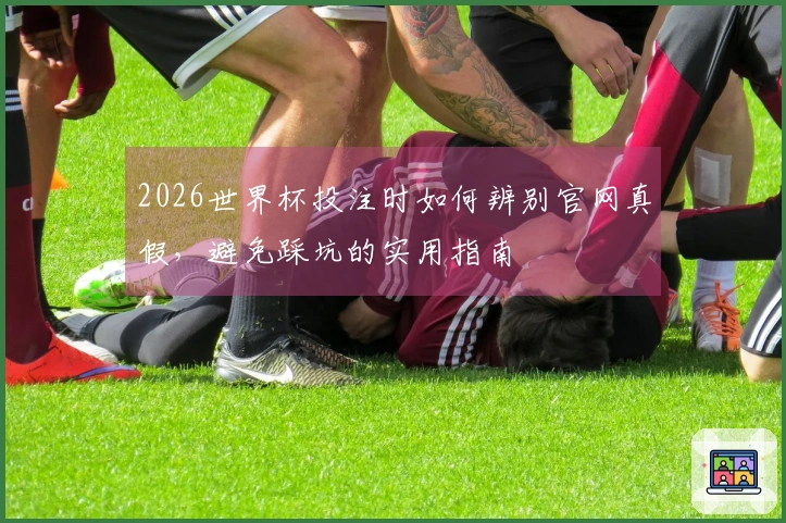 2026世界杯投注时如何辨别官网真假，避免踩坑的实用指南